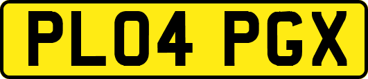 PL04PGX