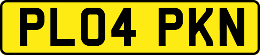 PL04PKN