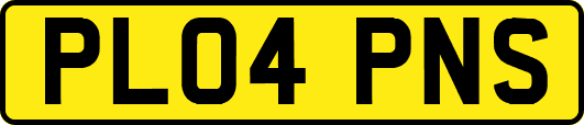 PL04PNS