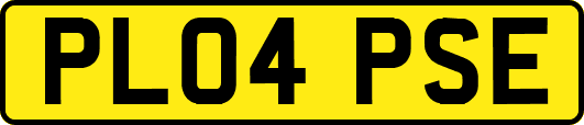 PL04PSE