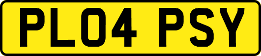 PL04PSY