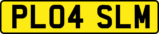 PL04SLM