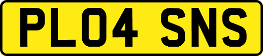 PL04SNS