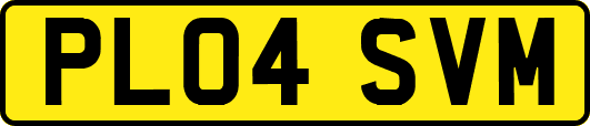 PL04SVM