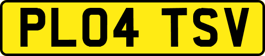 PL04TSV