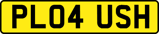 PL04USH