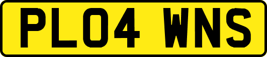 PL04WNS
