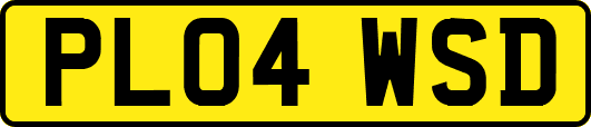 PL04WSD