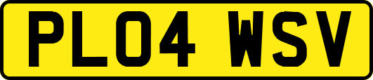 PL04WSV