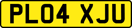 PL04XJU