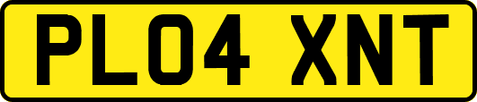 PL04XNT