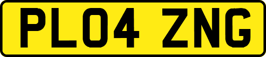 PL04ZNG