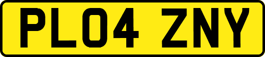 PL04ZNY