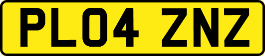 PL04ZNZ