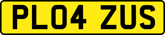 PL04ZUS
