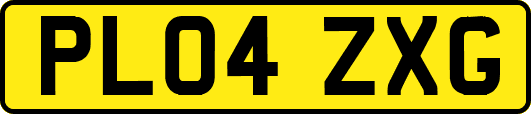 PL04ZXG