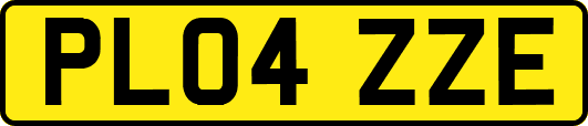 PL04ZZE