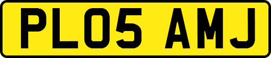 PL05AMJ