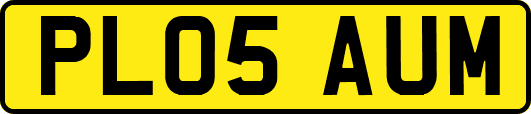 PL05AUM