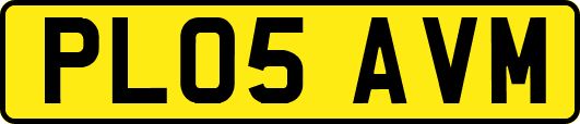 PL05AVM