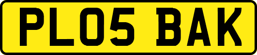 PL05BAK