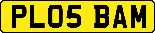 PL05BAM