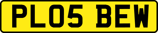 PL05BEW