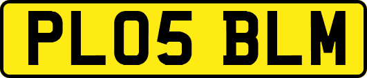 PL05BLM