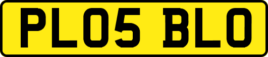 PL05BLO