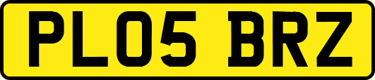 PL05BRZ