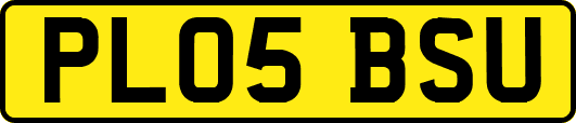 PL05BSU