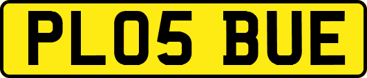 PL05BUE