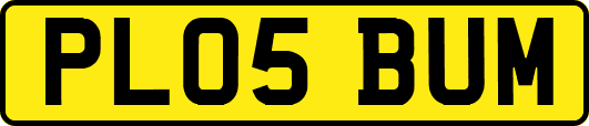 PL05BUM
