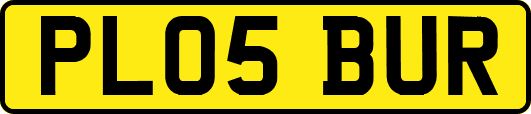 PL05BUR