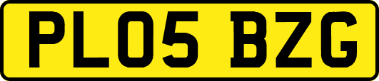 PL05BZG