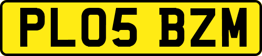 PL05BZM