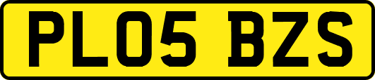 PL05BZS