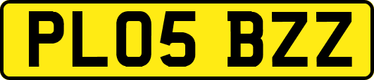 PL05BZZ
