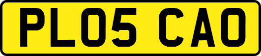 PL05CAO