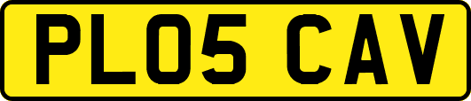 PL05CAV