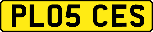 PL05CES