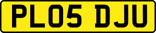 PL05DJU