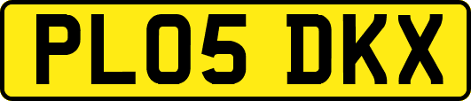 PL05DKX