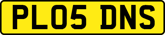 PL05DNS