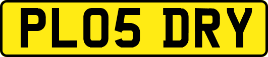 PL05DRY
