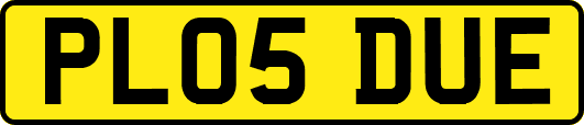 PL05DUE