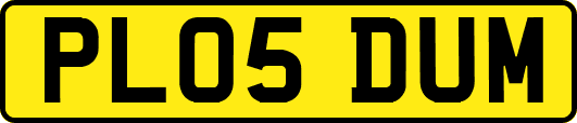 PL05DUM