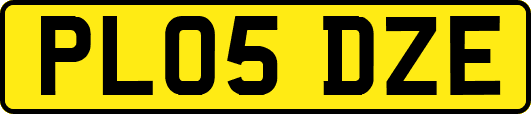 PL05DZE