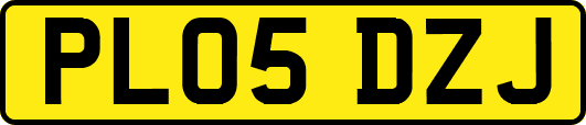 PL05DZJ