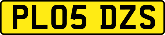 PL05DZS
